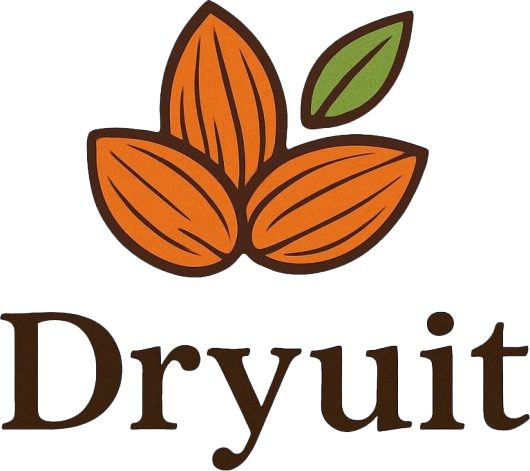 DRYUIT Logo